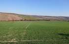 Vand teren in Santelec - 3