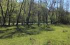 Teren intravilan de vanzare in Borod, 2000 mp, Bihor - 3