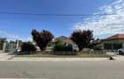 Vila P+M, an 2021, teren 3600 mp, D=50 m, Brancoveni - 4