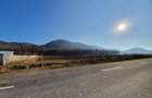 Vanzare Teren intravilan Str. Cucului, zona Bartolomeu 18600 mp - 2
