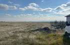 Teren 10.000 mp zona industriala Albota 10 euro mp -Arges - 3