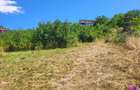 Teren Intravilan 546 mp | Panorama deosebita | PUZ in lucru - 6