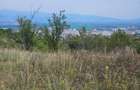 Teren Exclusivist cu vedere Panoramica - 4