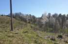 Teren cu panoramă fabuloasă, 10.059 mp, Roșia. 19.000 EUR. Comision 0 - 2