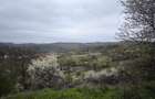 Bistrita, Drumul Tărpiului, Teren extravilan -5.800 mp - 4