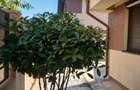 Duplex complet mobilat si utilat, Mutare imediata, Toate utilitatile, Comision 0