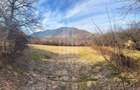Teren intravilan 2.295 mp, deschidere 60 m – Rășinari, comision 0% - 7