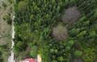 Teren 6500mp Dambu Morii - Bunloc, Brasov - 6