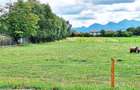 Brasov, Stupini, teren cu PUZ, 8500mp pe str Izvorului, 30 euro/mp - 8