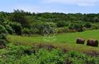 Parcele teren 4038 mp - Parcelabil - Zona Valea Stanelor - 5