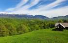 Teren Drumul Carului 3.8 ha