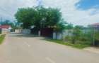 Cernica-Sat Posta, 600 m.p., toate utilitatile, ingradit,ideal investitie. - 4