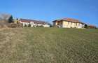 Teren intravilan Cetariu 1500 mp - 3