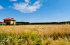 TEREN -INTRAVILLAN-SUPERB-SNAGOV-PADURE-UTILITATI - 5