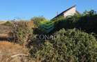 Teren 3100mp Simnicu de Sus | Romanesti |