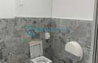 Royal Imobiliare - Inchiriere spatiu industrial zona Bucov - 10