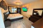 Apartament cu 3 camere decomandat Alexandru 74 mp - 2