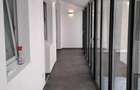 Spatiu Sad de inchiriat in apropiere de Iulius Mall - 1