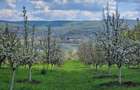 Pamant vanzare | Lac Zigoneni | Valea Lui Enache | Priveliște superba - 10
