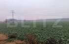 Teren industrial, 15000 mp, Zona Lido Garbea, Ytong. - 5