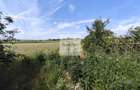 Teren de 11.000 mp cu casă și teren agricol | La 40 km de București | - 18
