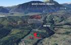 Teren extravilan Poiana Marului 7083mp, inconjurat de padure - 10