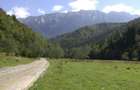 Teren Barsa lui Bucur, Plaiul Foii, Zarnesti - 2