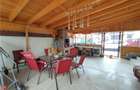 Royal Imobiliare - vanzari vile zona Traian - 25