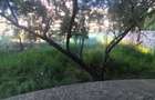 Vila de vanzare / zona Mamaia-Nord - 4
