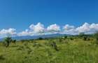 Teren de vânzare în Calea Cisnădiei, Sibiu – 550 mp, PUZ aprobat, vedere superbă - 1
