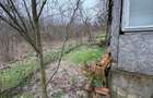 Teren 2.038 mp + Casă 50 mp de vânzare – Sat Luncsoru, Com. Ghercești - 19