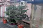 Casa 2 camere - zona Palas - 90.800 euro (Cod E2+E7) - 19