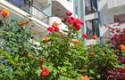 Apartament 2 camere mobilat si utilat zona Pipera - 1