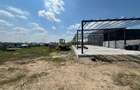 Teren 12.600 mp cu hală nouă 600 mp, oportunitate investiție - 2