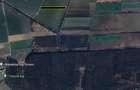 15.700mp teren investitie - 3