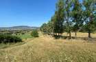 Teren intravilan 2600 mp - pretabil casa/investitie-Zona Aerodrom - 2