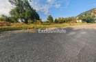 Teren intravilan 1.600 mp Mioveni – Zona Pruni - 1