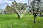 Teren de vanzare - Saliste - Intravilan  -  430 MP - 1