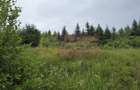 Teren intravilan 4000 mp in Breaza, Nistoresti - 3