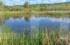 Teren de vânzare 1.600 mp cu deschidere la lac – zona Lacul Surduc - 18