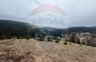 Teren de vanzare în inima Apusenilor –  6.500 mp Arieșeni - 12
