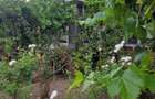 CASA SUPERBA 4 CAMERE ZONA VALU LUI TRAIAN 933MP - 4