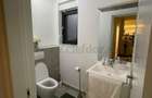Vila de lux in zona Iancu Nicolae - 9