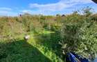 Teren intravilan de 18927 mp, Hala P+1 250 mp, Ocna Mures - 5