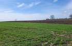 VANZARE TEREN PRUNDU INTRAVILAN AGRICOL GIURGIU POTENTIAL - 9