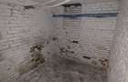 Inchiriere Spatiu Comercial Vasile lascar Dacia - 3