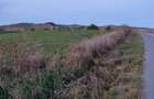 Teren intravilan,3000 mp,front 30ml,Salistea Noua - 4