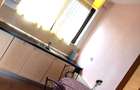 Apartament  cu  vedere catre Parcul Kiseleff,  Parcare subterana, Lift - 7