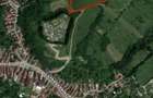 Teren Extravilan 3600 mp Tarlungeni - 1