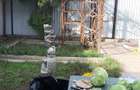 Casa 3 camere - zona Tomis II- (centrala gaz natural) - 12